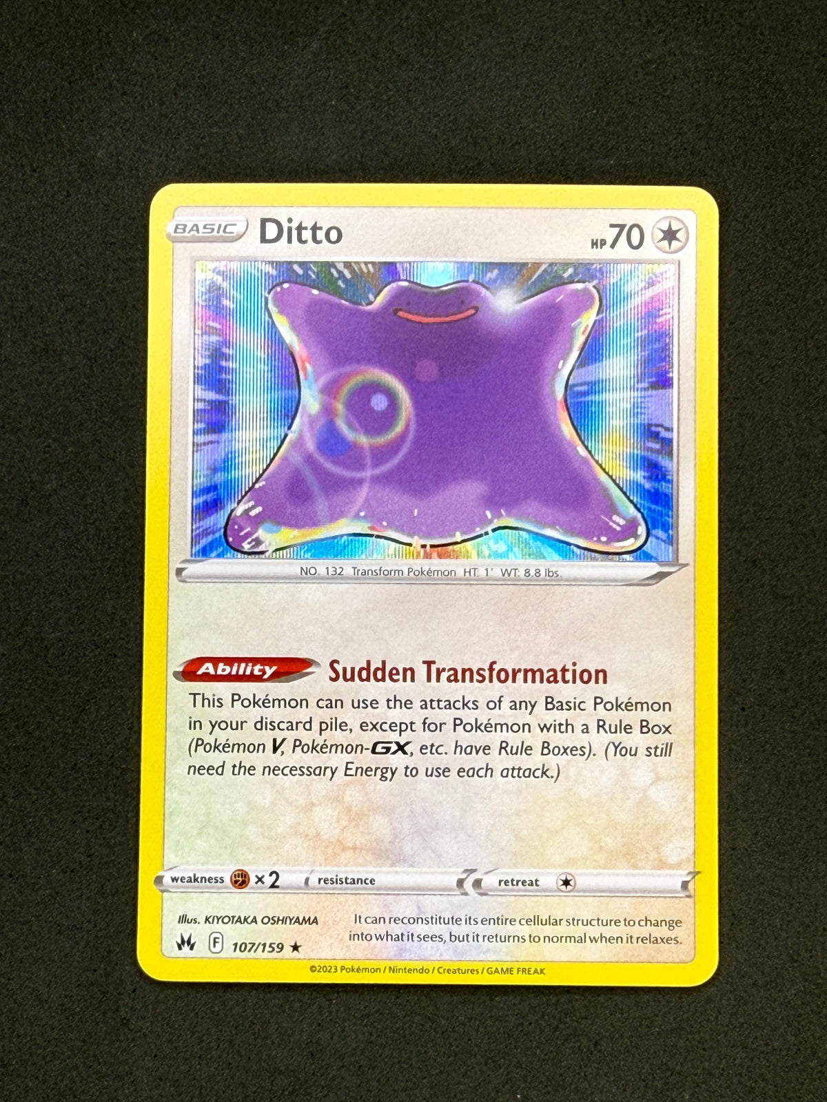 Card 17 front · 315dd60a-cbcc-4bbb-80b3-22996c3f7605 · 44c6a3484f176d7d398b7d81ed79edeb89dffdc31d208c6e76fd5a1abdfb7058
