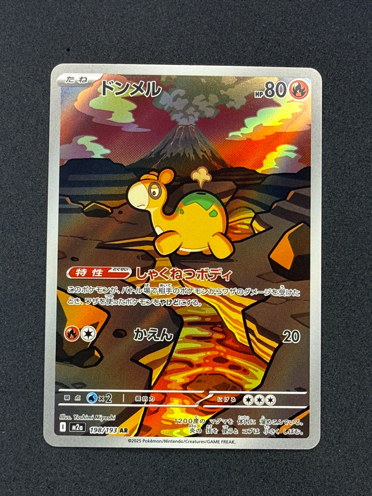 Card 255 front · 3b315346-5918-4303-ba75-6905777d8fbb · 251fc90cca1f3ba7797ba2c7641722343a58e8ce5a646ad83debac8ed9f086ed