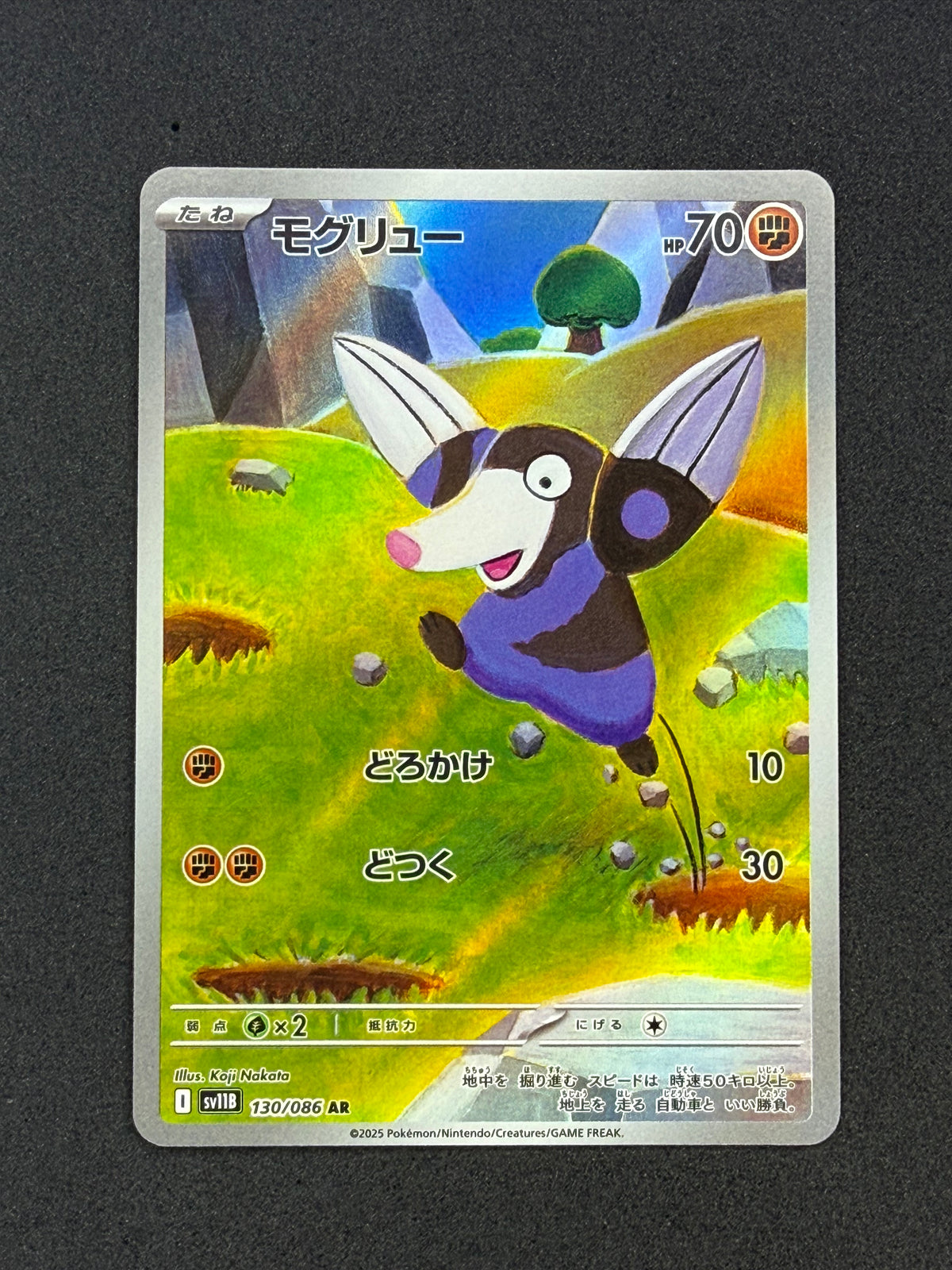 Card 211 front · 49e10027-89de-4a79-a075-df9281bdac97 · 440b1d584a77f3bdd9803a9ef32fa21d5418ec3b3469dd2bae4e361880e52e31
