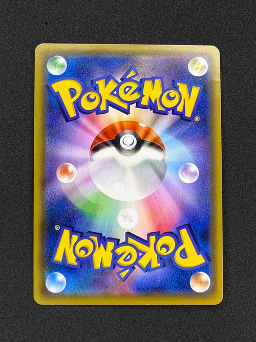 Card 355 back · 63b0f23d-8583-4f71-bef1-ad6f4da32ced · 162cf74cde34a3b00eab009346dc44dda96e8a4b6bd39886538c4c8b146d9b8d