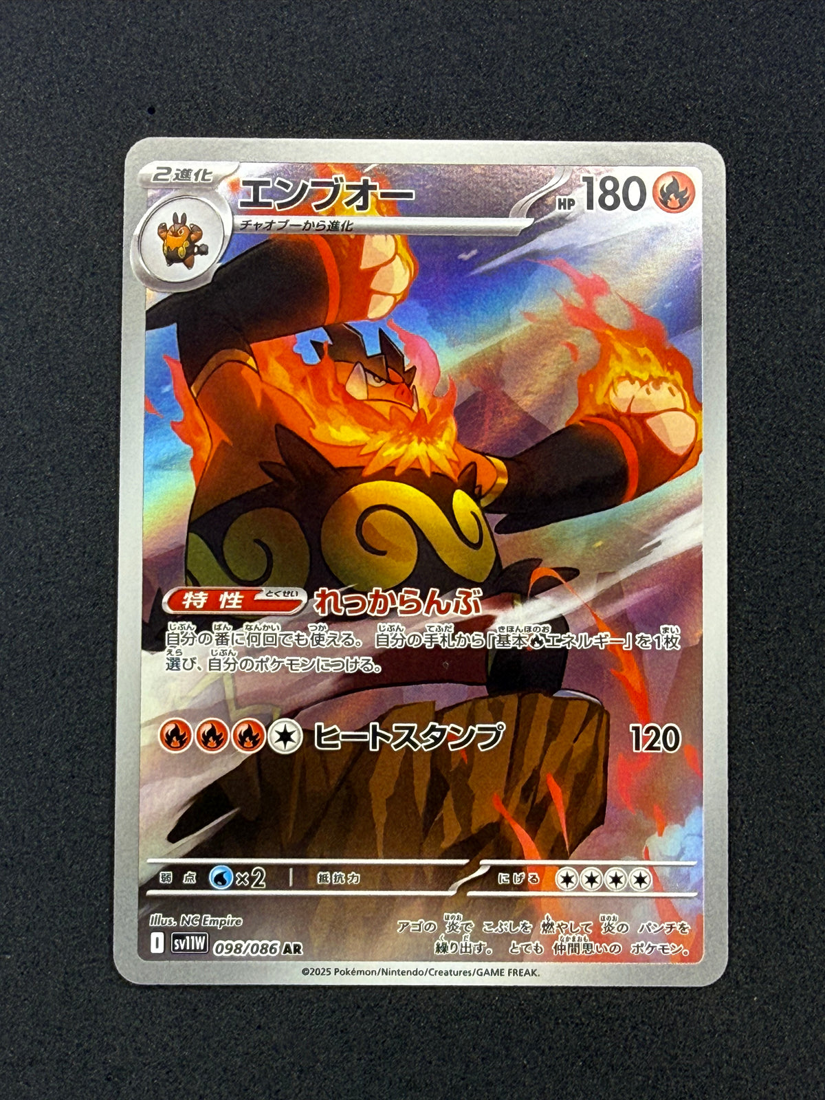 Card 245 front · 73844836-57d8-4b6c-b694-e9feb4598b2b · 235b99b529f4260ad0210994d910ac391fd4e015d95d89b7b6e8e489ffb6e2fc