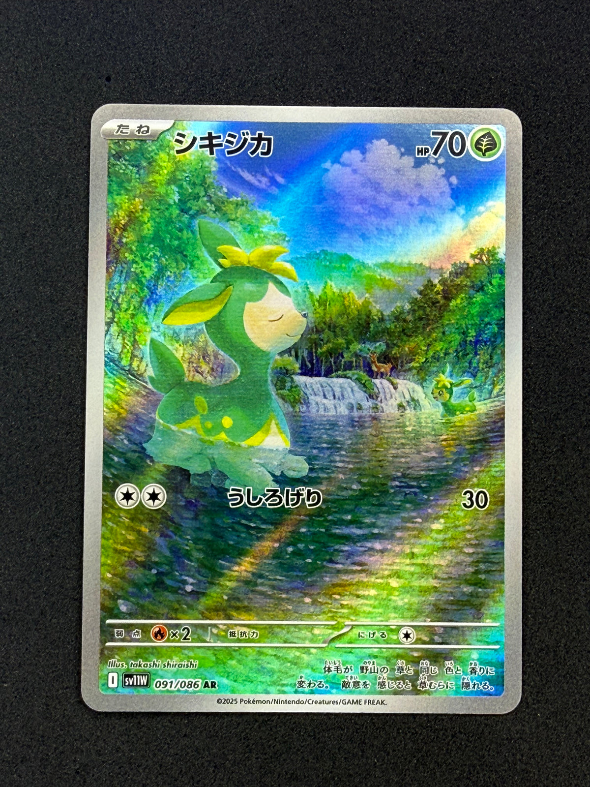 Card 250 front · 881c1d19-5d17-4995-94b1-e451acd9603d · 307130f308afeddbe489853352d0deb1a8d19ed27a7f37dd19d9fb1c56cc3467