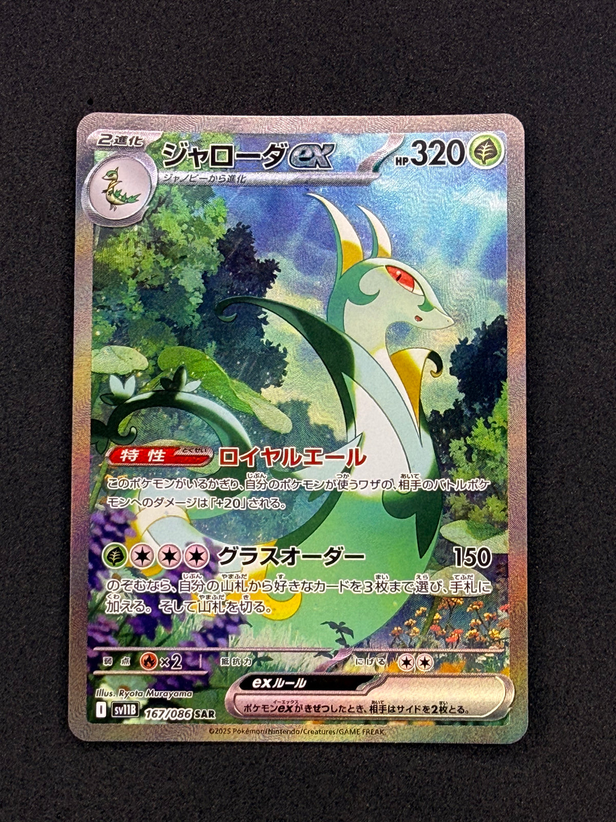 Card 310 front · a3229912-4051-4cdc-b25f-e539ffcd4d86 · 455e236902552651dccd4c0dbe966c510420a693e12cac78f89ea81206057653