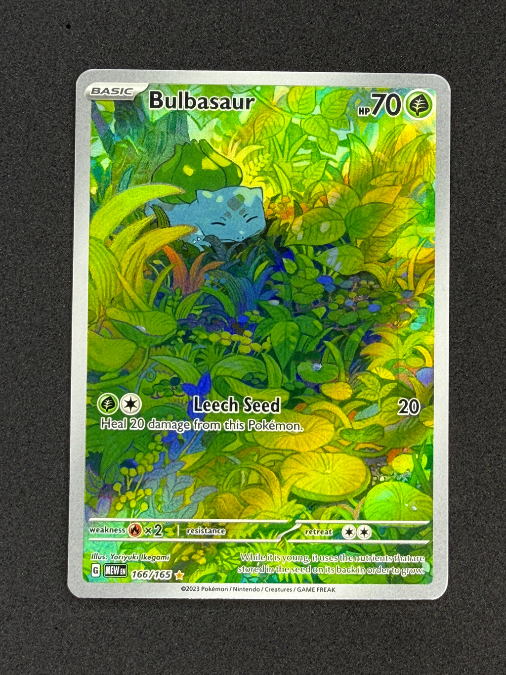 Card 485 front · bb8c6dbf-3a85-4b7a-8eb8-2b790b388a83 · 20461112831c5ed37f9085fe156af625a01b70b387778c789ec66fa033d74d7f
