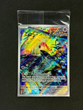 Card 507 front · ed9e8983-c41a-45b2-8053-e2a50c46ebe8 · 7236d29d1b5164f6ade8fdfebfe2843c5627244214c82f4f92961b34b3883d4d